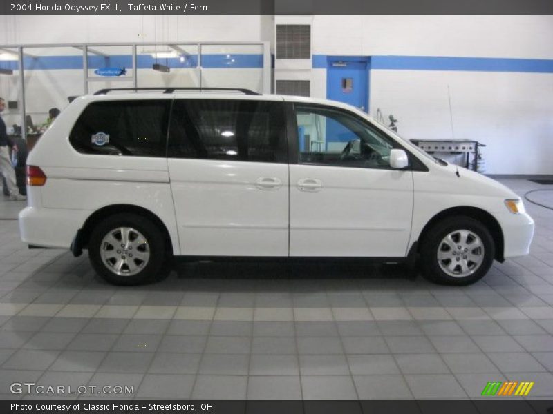 Taffeta White / Fern 2004 Honda Odyssey EX-L