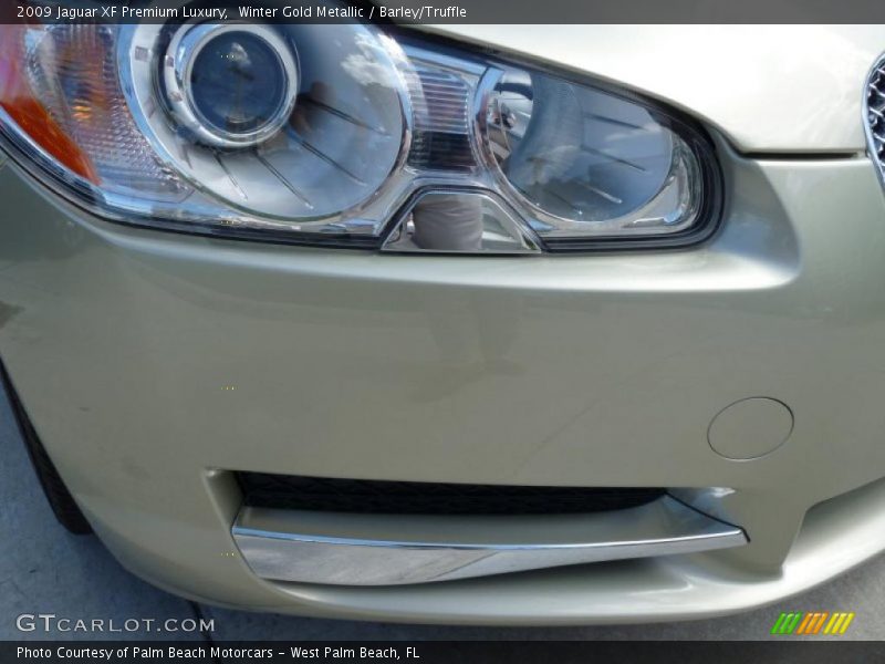 Winter Gold Metallic / Barley/Truffle 2009 Jaguar XF Premium Luxury