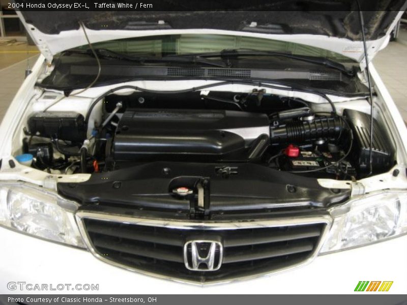 Taffeta White / Fern 2004 Honda Odyssey EX-L