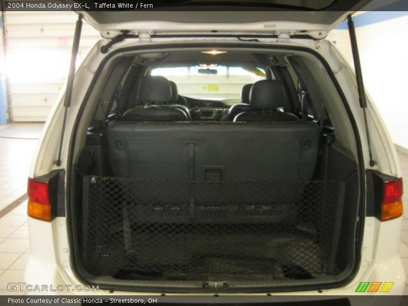Taffeta White / Fern 2004 Honda Odyssey EX-L
