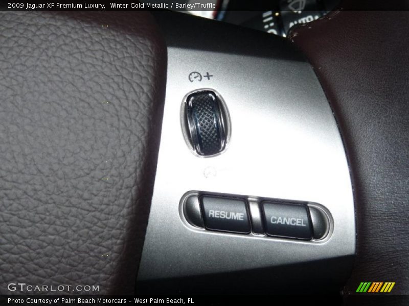 Winter Gold Metallic / Barley/Truffle 2009 Jaguar XF Premium Luxury