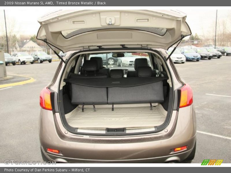  2009 Murano SL AWD Trunk