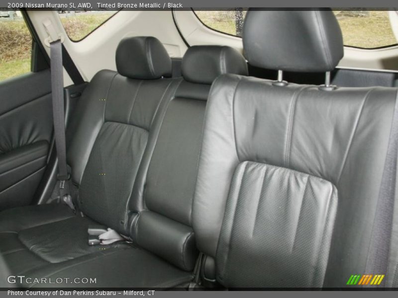 Tinted Bronze Metallic / Black 2009 Nissan Murano SL AWD
