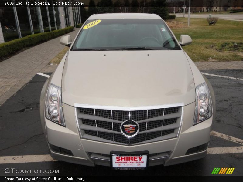 Gold Mist / Ebony 2009 Cadillac CTS Sedan