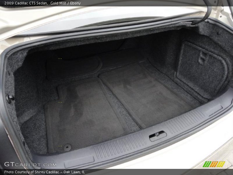 Gold Mist / Ebony 2009 Cadillac CTS Sedan