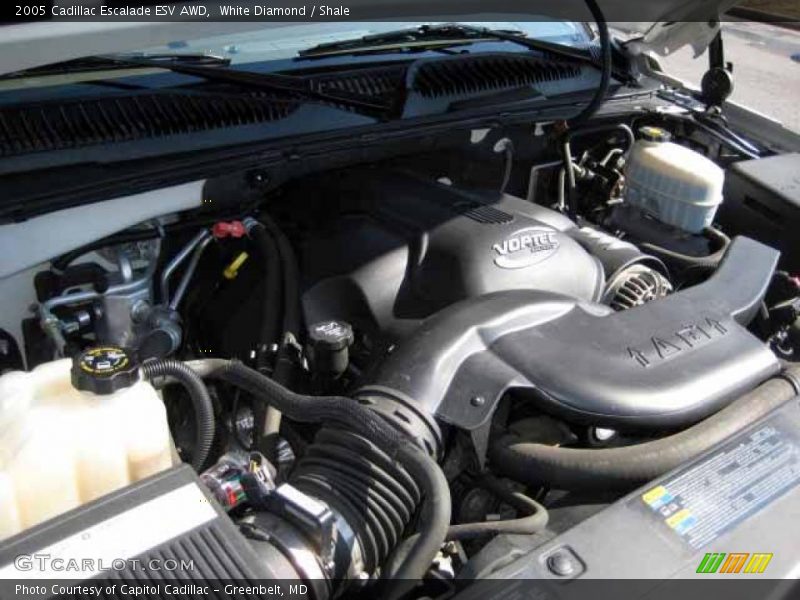 White Diamond / Shale 2005 Cadillac Escalade ESV AWD