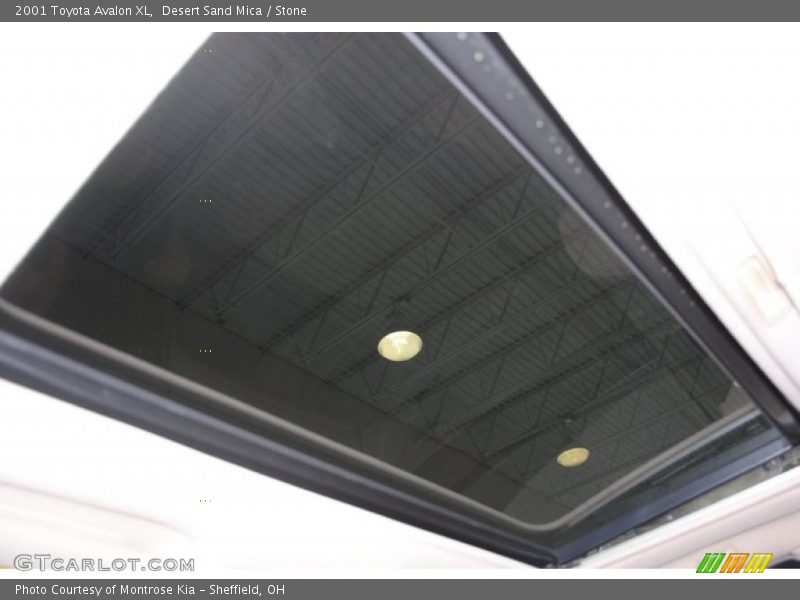 Desert Sand Mica / Stone 2001 Toyota Avalon XL