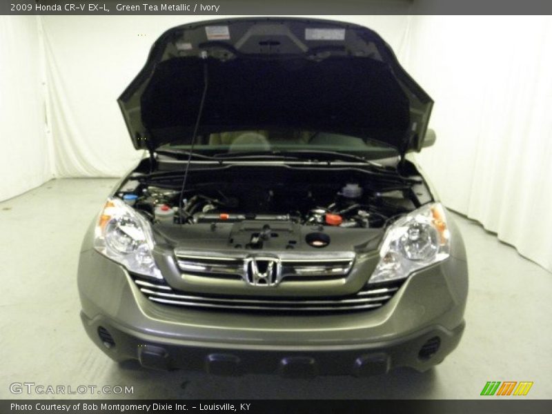 Green Tea Metallic / Ivory 2009 Honda CR-V EX-L