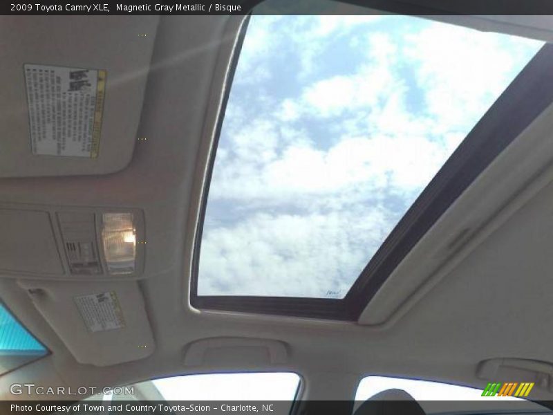 Magnetic Gray Metallic / Bisque 2009 Toyota Camry XLE