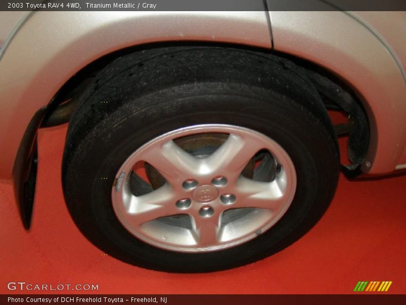 Titanium Metallic / Gray 2003 Toyota RAV4 4WD