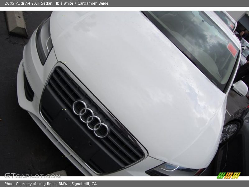 Ibis White / Cardamom Beige 2009 Audi A4 2.0T Sedan