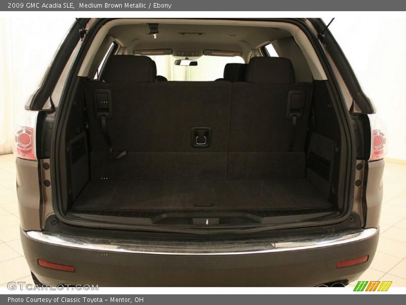 Medium Brown Metallic / Ebony 2009 GMC Acadia SLE