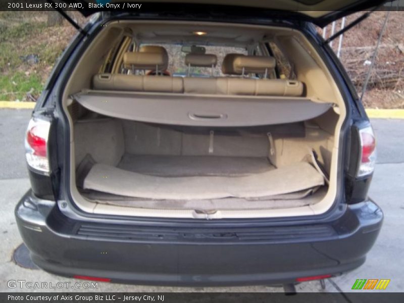 Black Onyx / Ivory 2001 Lexus RX 300 AWD