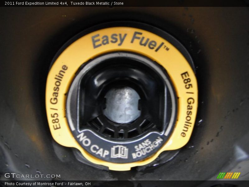 Tuxedo Black Metallic / Stone 2011 Ford Expedition Limited 4x4