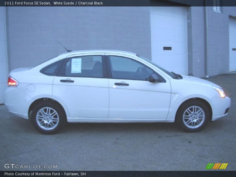 White Suede / Charcoal Black 2011 Ford Focus SE Sedan