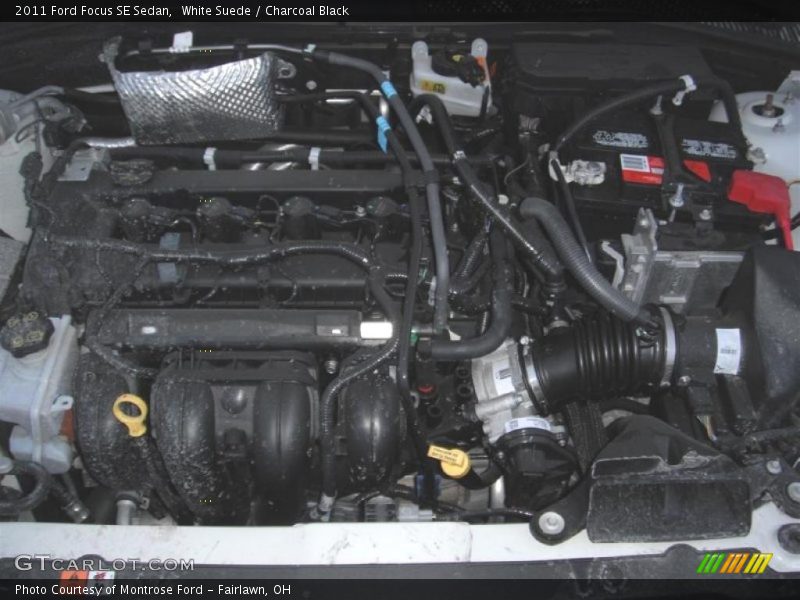 White Suede / Charcoal Black 2011 Ford Focus SE Sedan