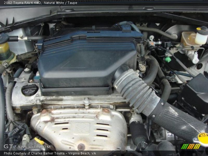 Natural White / Taupe 2002 Toyota RAV4 4WD