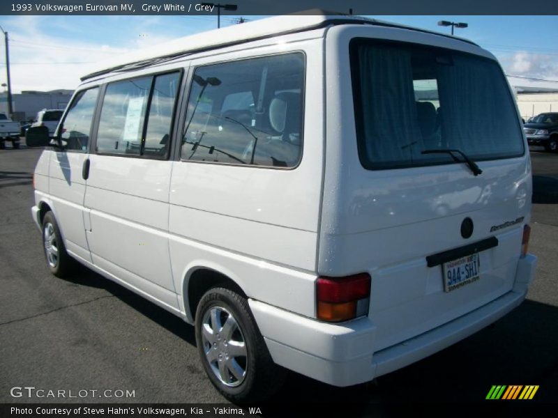 Grey White / Grey 1993 Volkswagen Eurovan MV
