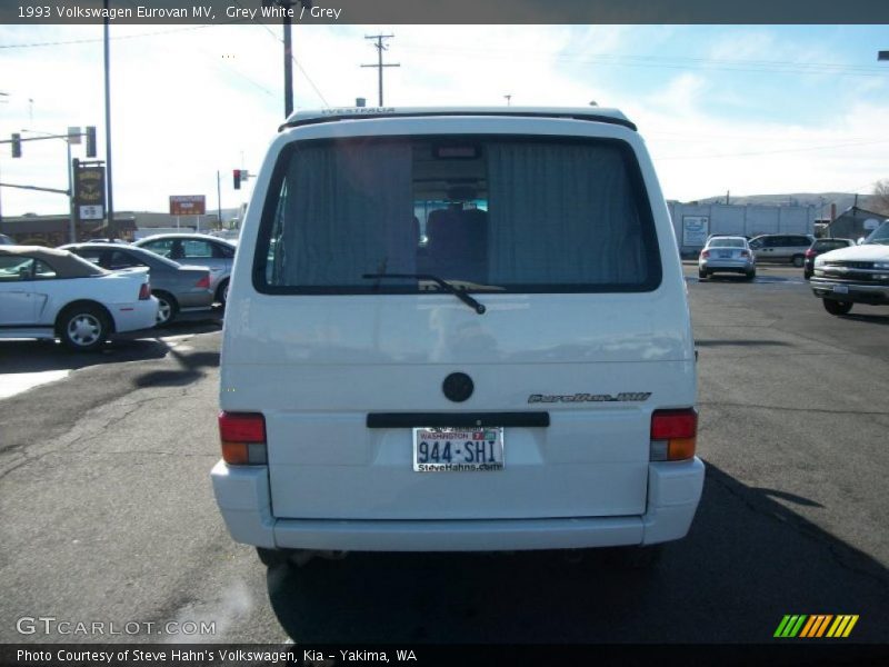 Grey White / Grey 1993 Volkswagen Eurovan MV