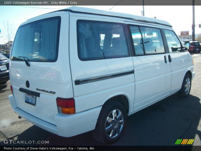 Grey White / Grey 1993 Volkswagen Eurovan MV