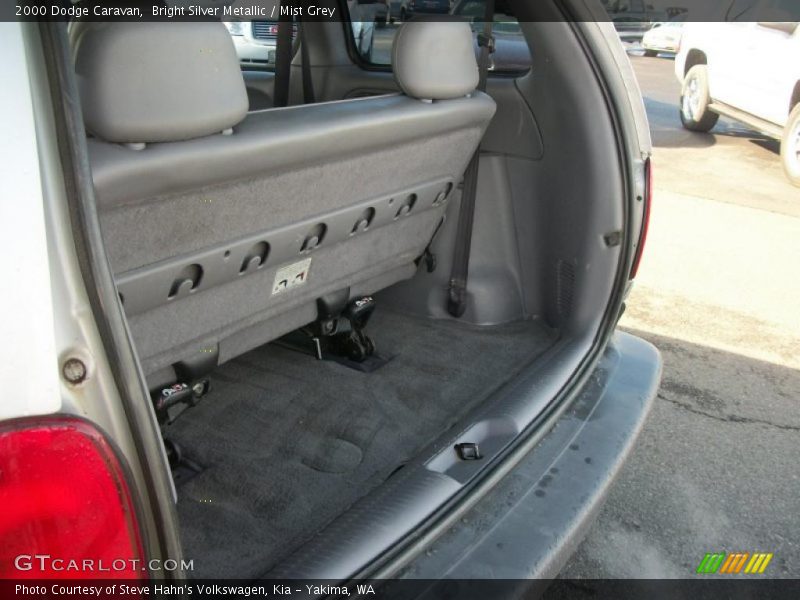 Bright Silver Metallic / Mist Grey 2000 Dodge Caravan