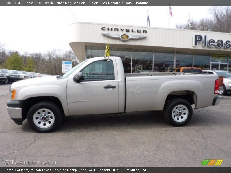 Silver Birch Metallic / Dark Titanium 2009 GMC Sierra 1500 Work Truck Regular Cab