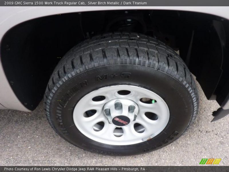 Silver Birch Metallic / Dark Titanium 2009 GMC Sierra 1500 Work Truck Regular Cab