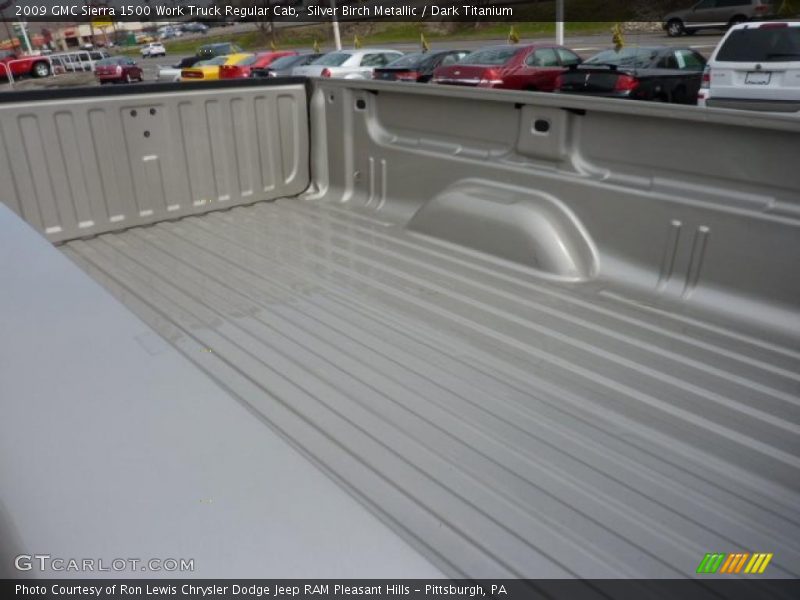 Silver Birch Metallic / Dark Titanium 2009 GMC Sierra 1500 Work Truck Regular Cab