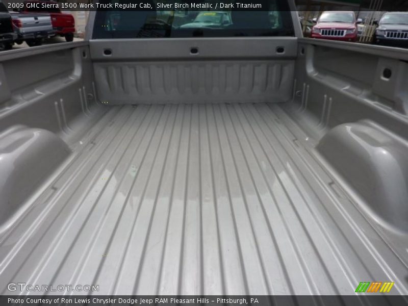 Silver Birch Metallic / Dark Titanium 2009 GMC Sierra 1500 Work Truck Regular Cab