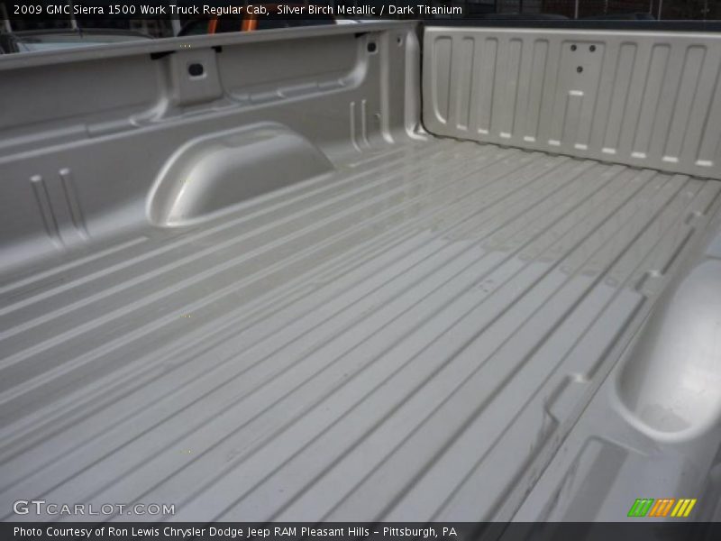 Silver Birch Metallic / Dark Titanium 2009 GMC Sierra 1500 Work Truck Regular Cab