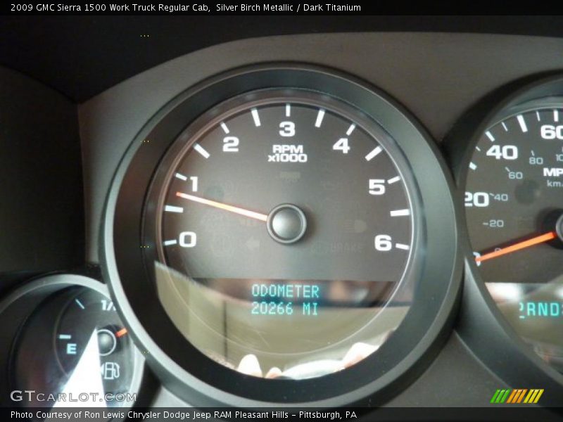 Silver Birch Metallic / Dark Titanium 2009 GMC Sierra 1500 Work Truck Regular Cab