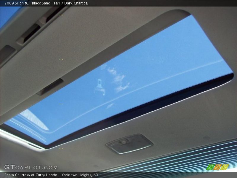 Black Sand Pearl / Dark Charcoal 2009 Scion tC