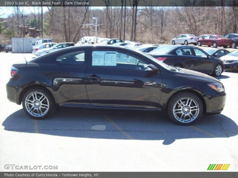 Black Sand Pearl / Dark Charcoal 2009 Scion tC