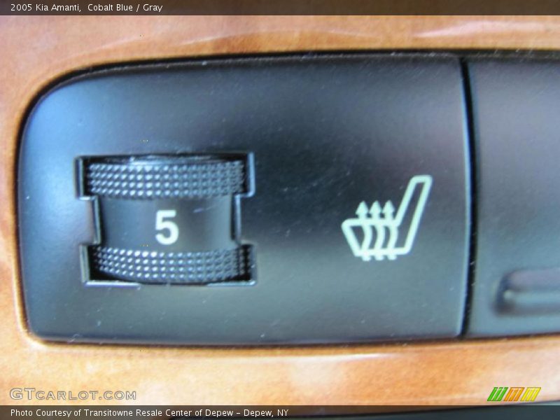 Cobalt Blue / Gray 2005 Kia Amanti