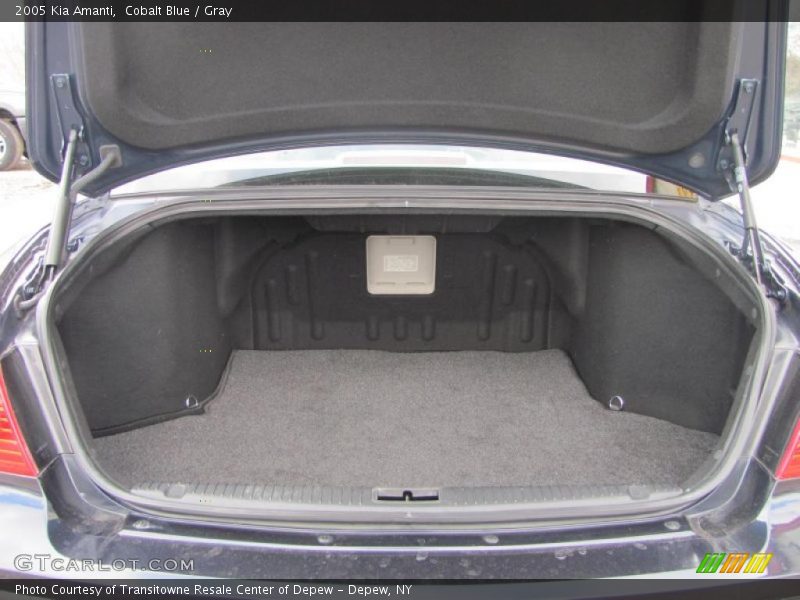 Cobalt Blue / Gray 2005 Kia Amanti