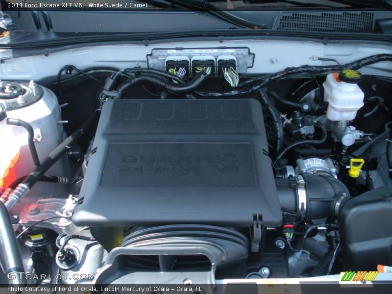 White Suede / Camel 2011 Ford Escape XLT V6