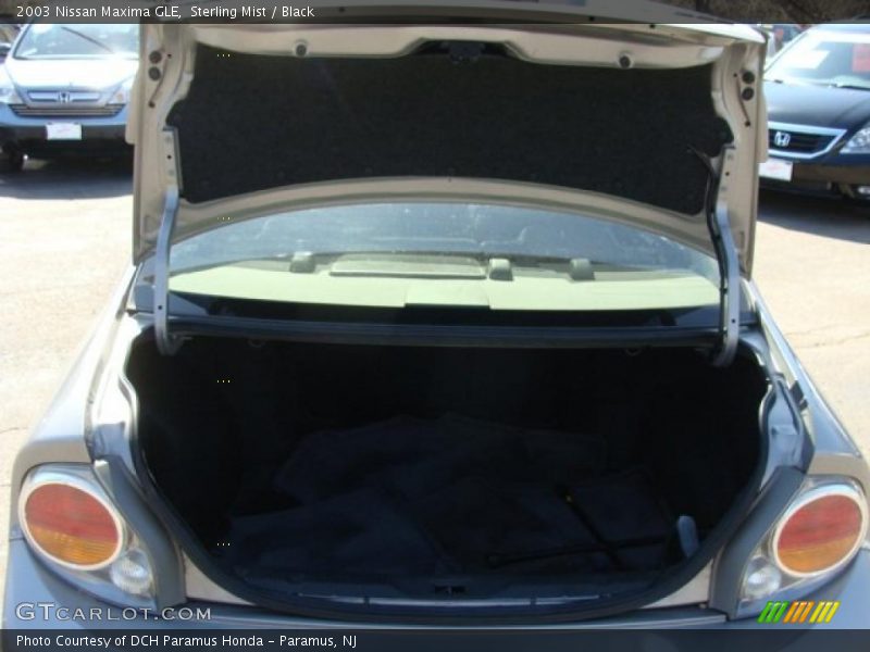 Sterling Mist / Black 2003 Nissan Maxima GLE