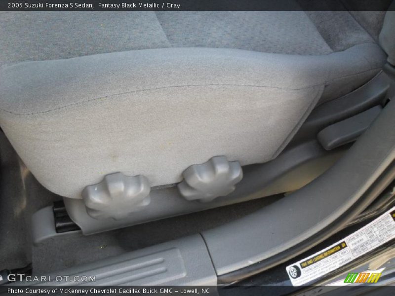 Fantasy Black Metallic / Gray 2005 Suzuki Forenza S Sedan