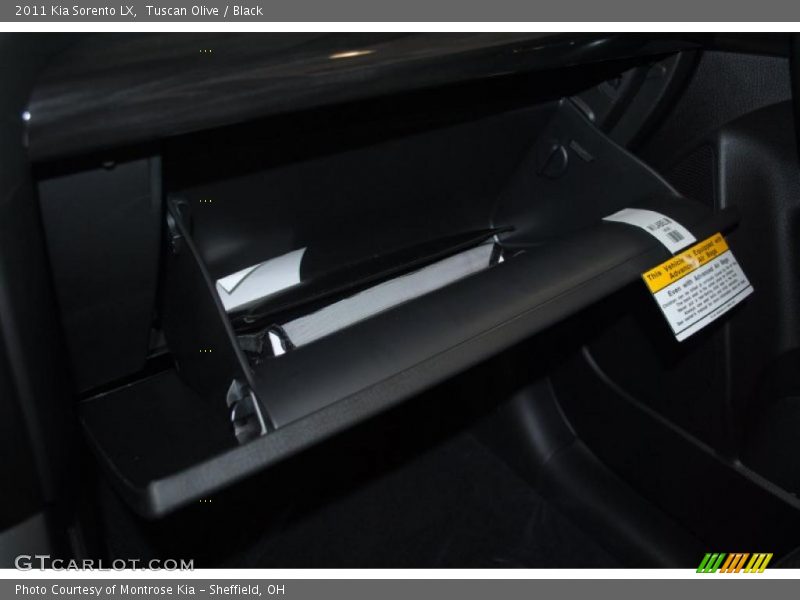 Tuscan Olive / Black 2011 Kia Sorento LX