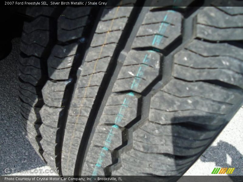 Silver Birch Metallic / Shale Grey 2007 Ford Freestyle SEL