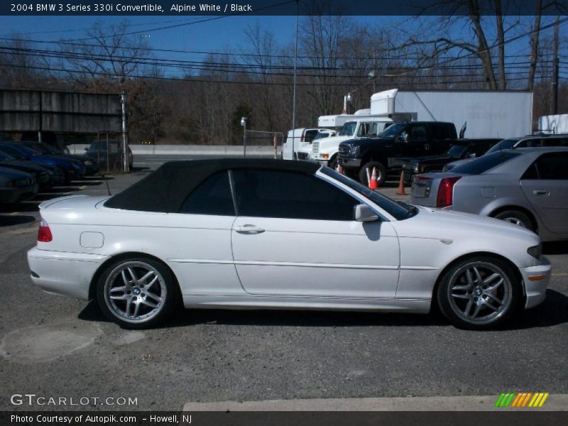 Alpine White / Black 2004 BMW 3 Series 330i Convertible