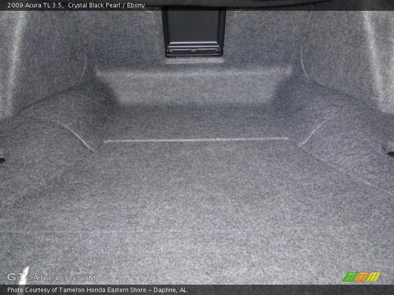 Crystal Black Pearl / Ebony 2009 Acura TL 3.5
