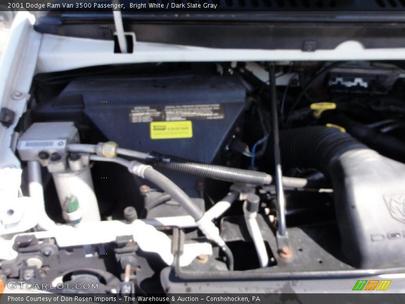 Bright White / Dark Slate Gray 2001 Dodge Ram Van 3500 Passenger