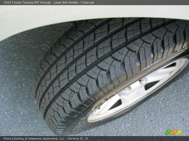 Lunar Mist Metallic / Charcoal 2004 Toyota Tacoma SR5 Xtracab