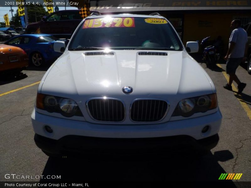 Alpine White / Gray 2003 BMW X5 4.4i