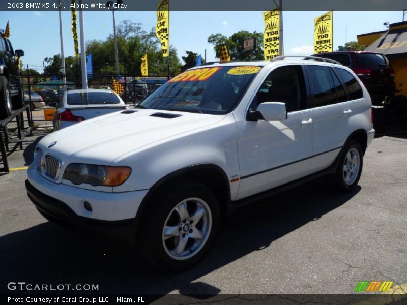 Alpine White / Gray 2003 BMW X5 4.4i