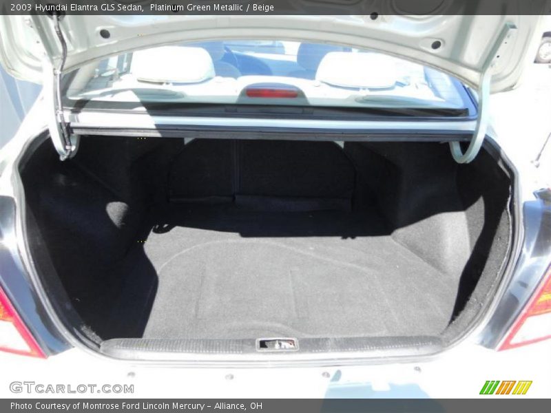 Platinum Green Metallic / Beige 2003 Hyundai Elantra GLS Sedan