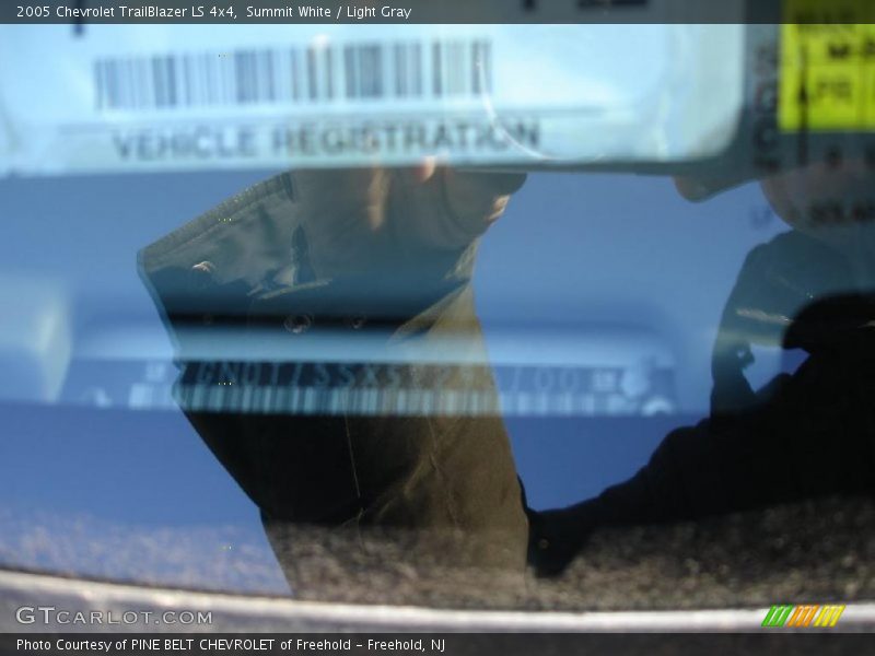 Summit White / Light Gray 2005 Chevrolet TrailBlazer LS 4x4