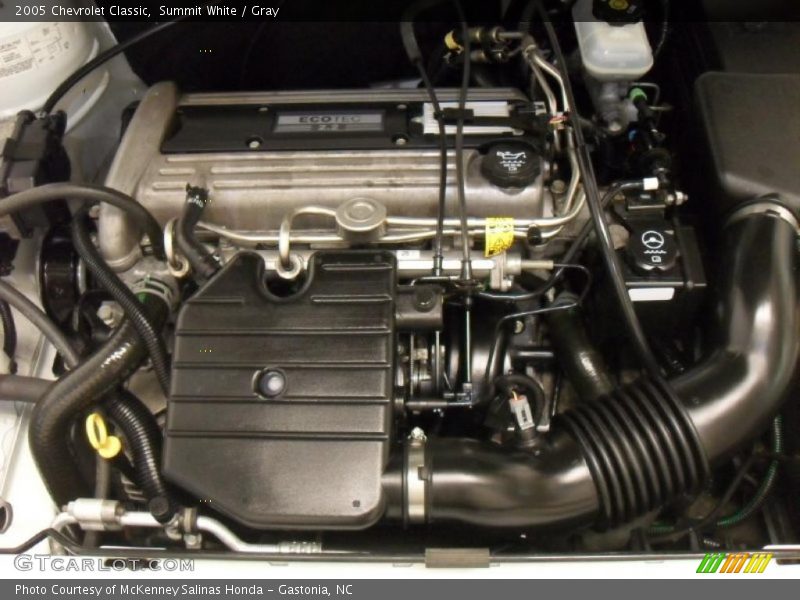 Summit White / Gray 2005 Chevrolet Classic