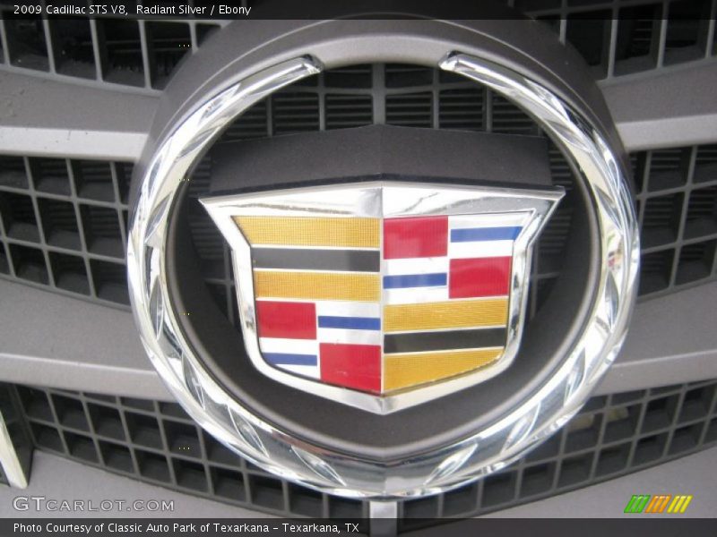 Radiant Silver / Ebony 2009 Cadillac STS V8